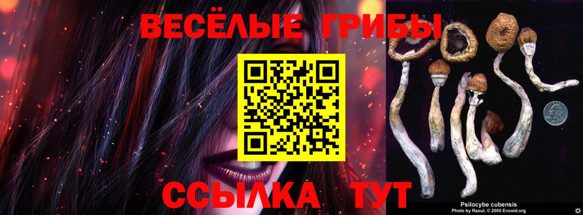 Псилоцибиновые грибы Psilocybe Кувандык