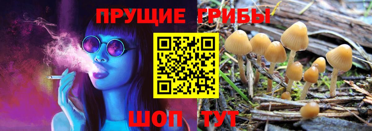 Кувандык  Галлюциногенные грибы ЛСД  Вход с VPN 
